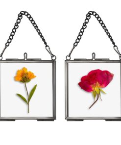 SUMTree Schwarz Mini-Quadrat-Fotorahmen für gepresste Blüten und Fotos (2 Pcs)