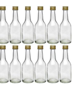 hocz Mini Glasflaschen Set mit Schraubverschluss | 12/24 Stück 100ml | Likörflasche Ölflasche Schnaps Miniatur zum Selbs