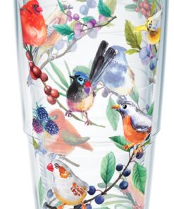 Tervis doppelwandiger isolierter Becher Watercolor Singbirds hält Getränke kalt und heiß 680 ml transparent USAProdukt