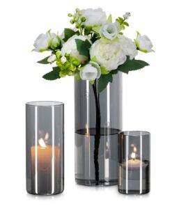 Glasseam Graue Glas Zylinder Vasen Set 3er (10/15/20cm) - Modern für Pampasgras Tulpen Tischdeko Wohnzimmer