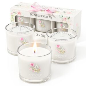 CHILLFLAME Duftkerzen Geschenkset für Frauen, Mutter, Lehrer - 3 Weiß Duftkerzen (200g)