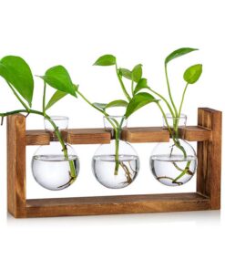 Glasseam Vintage Blumenvase + Mit Holzständer + Propagation Station Hydroponik