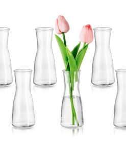 Glasseam Kleine Glasvasen 6 Stück Minimalistisch Klar für Tischdeko Hochzeit Party