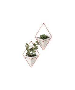 Umbra Trigg Wandvase Geometrische Deko - Beton/Kupfer 2er-Set Klein für Sukkulenten & Luftpflanzen