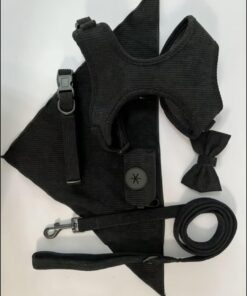 Hundegeschirr Set L Schwarz 6-teilig – Ultra-Bequem Verstellbar mit Leine Halsband & Zubehör
