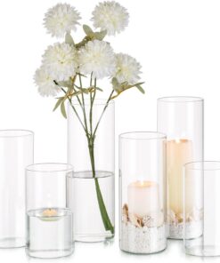 Glasseam Zylinder Vase Glas Klar 6 Stück 14/19/24cm Hoch Modern Blumenvase Hochzeit Tischdeko