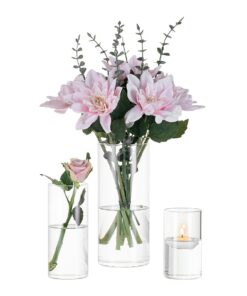 Glas Zylinder Vasen Set 3er 10/15/20cm Modern - Blumenvase für Hochzeit Wohnzimmer Tulpen Rose