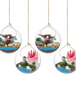 Hängende Glaskugel Vase für Sukkulenten Terrarium 4 Pcs |72 Inches Große Öffnung