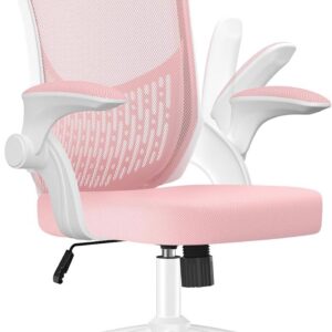 Naspaluro Ergonomischer Bürostuhl für Heimbüro mit Atmungsaktiver Mesh-Polsterung, Lendenwirbelstütze und Klappbaren Arm