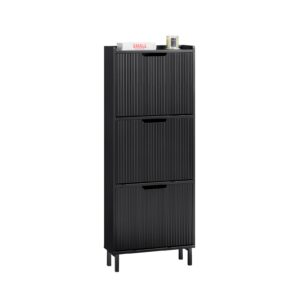 SoBuy Platzsparender Schuhschrank für Diele Schwarz FSR177-H-SCH