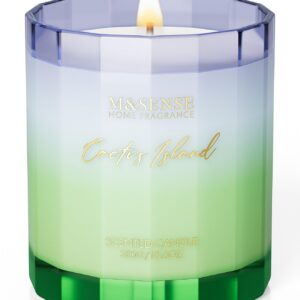 M&SENSE Duftkerze Kaktus Insel 300g 60 Std. Brenndauer Geschenk für Frauen