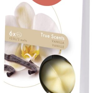 Bolsius True Scents bunte Duft-Wachspads, Creme, Standard, 6 Stück