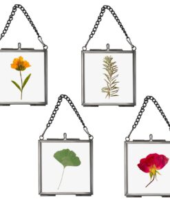 SUMTree Metallglasrahmen für gepresste Blumen und Fotos Schwarz |7 x |7in