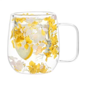 Doppelwändige Glasbecher mit Trockenblumen, isolierter Teebecher, klarer Wärmeisolierung, 200ml für Getränke und Wasser