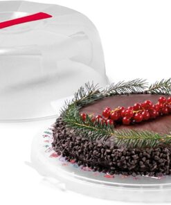 Snips Kuchen-Transportbox Delice Winter mit 4 Sicherheitsverschlüssen | BPA- und phthalatfrei | Ideal für Partygäste mit