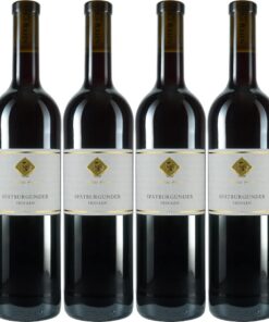 Tobias Hahn Spätburgunder 2024 Trocken - Sauberer-notes, edelfrisches Rotwein fürleckere Mahlzeiten (6 x 0.75 l) Tobia