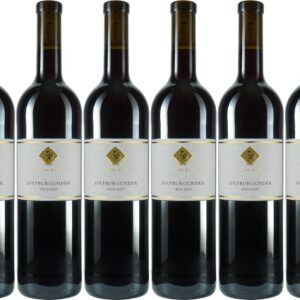 Tobias Hahn Spätburgunder 2024 Trocken - Sauberer-notes, edelfrisches Rotwein fürleckere Mahlzeiten (6 x 0.75 l) Tobia