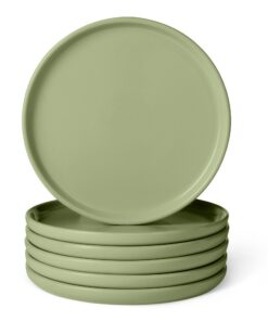 Amazon Basics Glasierte Steingut-Speiseteller 6er Set 26,7 cm Mikrowellenfest Olivgrün