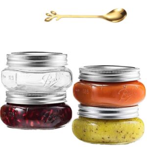 Mason-Jar 8 oz - 4 Stück GlasEinmachgläser mit silbernen luftdichten Deckeln & Bändern für Honigkonserven, Marmeladenkon