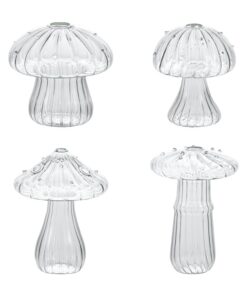Mini Pilz Glasvase Hydroponik Klar Kreativ für Pflanzen