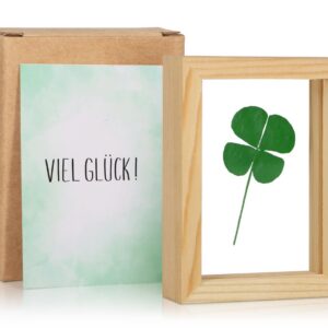 Giftota Glücksbringer - Großes Echtes vierblättriges Kleeblatt mit Viel Glück Karte, Handgefertigt, Ideal geschenk für M