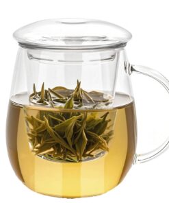 Arefen Glas Teetasse mit Deckel und Sieb Groß 500ml Borosilikatglas Tee Steuffer für Teebeutel und Loser Tee Vater Gebur