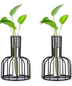 2er Set Mini Glasvasen Schwarz - Moderne Tischdeko für Hochzeit & Wohnzimmer - Hydroponic Bud Vasen