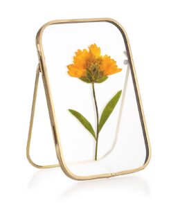 SUMTree Gold Fotorahmen aus Metall für Wohnzimmer bei Hochzeit, Weihnachten und Neujahr 4x6 inch