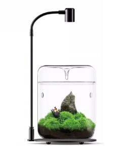 Glas Terrarium mit Licht 12x17.5cm Sukkulenten Luftpflanzen Büro Tisch-Deko