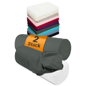 NPlusEins 2er Pack Bezüge und Nackenrolle - ca. 40 x 15 cm - 1467.2080, 1 Pack (2 Stück) - Qualitäts Bezüge in Titanium