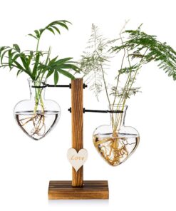 Glaspflanzenterrarium mit Holzständer - Kreative Doppelherz-Glashydroponikvasen für Desktop