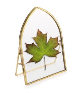 SUMTree Gold Glas Bilderrahmen für Dekoration in Büros und Häuser, Perfect Geburtstagsgeschenk für Liebhaber von Natürli