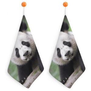 Pandabär Handtücher Mikrofaser Weich Saugfähig Schnell Trocknend Badezimmer Badezimmer-Handtuch 30x30 cm 2 Stück