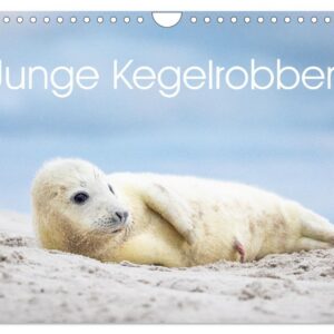 CALVENDO Junge Kegelrobben Wandkalender 2026 (DIN A4 quer) - Helgoland Tiere | CALVENDO Monatskalender 2026: Junge Kege