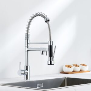 Auralum Küchen Wasserhahn Ausziehbar Hochdruck Edelstahl Spültischarmatur Küchenarmatur Küchenbereich