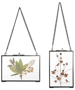 SUMTree Hängende Glas Fotorahmen Für gepresste Blumen Fotos(Schwarz 10x15cm)