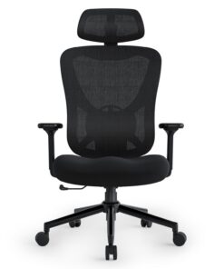 Eucladoceros Bürostuhl Ergonomisch Schwarz Höhenverstellbar Homeoffice