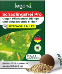 Legona® Hypoaspis miles - |000 Tiere für 8-20m² - Biologische Schädlingsbekämpfung gegen Thripse, Trauermücken, Springsc