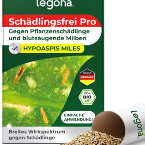 Legona® Hypoaspis miles - |000 Tiere für 8-20m² - Biologische Schädlingsbekämpfung gegen Thripse, Trauermücken, Springsc