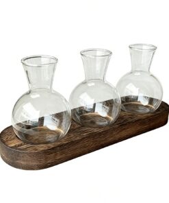 Glas Pflanzen Terrarium Kugelform Vermehrungsstation - Pothos Bewurzeln Halter für Schlafzimmer & Wohnzimmer