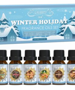 SALUBRITO Winter Ätherische Öle Set zum Diffusieren, rein natürliche Aromatherapie Duftöl für Heiligabend – 6 x 10ml Zim