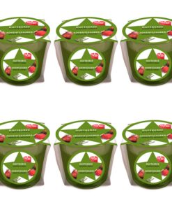 pajoma® Mini Duftkerze 6er-Set - Adventszauber für Weihnachten | 45g Wachsgewicht, 10 Stunden Brenndauer | edle Geschenk