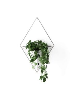 Umbra Trigg Wandvase Weiss/Nickel Gross - Geometrische Wanddeko für Sukkulenten & Zimmerpflanzen