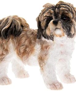 Der Leonardo Collection Shih Tzu Hundeornament, Braun & Weiß,ideal für die Zimmerdeko, perfekt zum Geburtstag oder Weihn