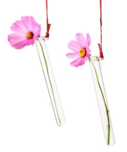 Tuuters 5X Reagenzglashalter Transparenz für Blumenanbeter | Tuuters Hängbare Blumenvase mit Transparenz für Labore und