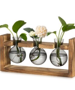 Glasseam Pflanzen Propagation Station Mini Terrarium Holz Rahmen Grau – Vintage Hydrokultur Vase für Wohnzimmer Büro Reg