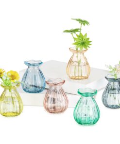 Glasseam 6 Stück Bunte Kleine Glasvasen - Aesthetic Modern Blumenvase für Tischdeko Party Hochzeit