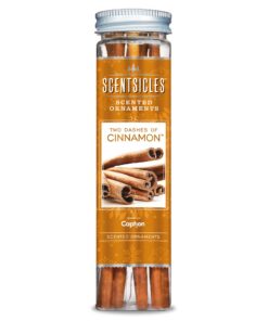 Scentsicles 6 Zimt Duft-Sticks für Kinder bei der Wasserspritze | Scentsicles 6 Zimt Duft-Sticks, süß und intensiv für