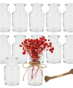 12er Set Kleine Glasvasen 60ml mit 10m Juteschnur Retro Design für Hochzeitsdeko & Party