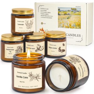 Duftkerze Geschenk für Frauen Soja Aromatherapie Kerzen Deko für Neues Zuhause Duftkerze Geschenk für Frauen Kerzen Gesc